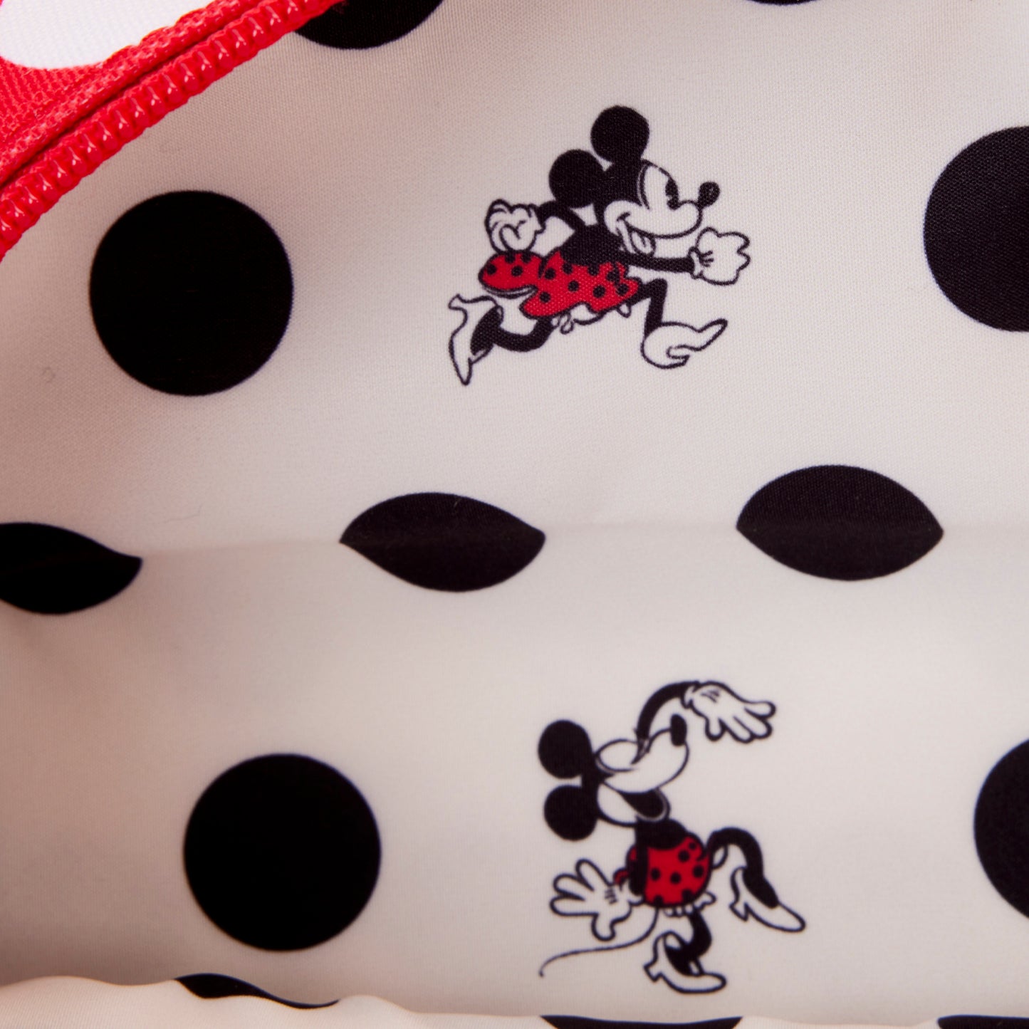 Minnie Mouse Rocks the Dots Classic Nylon Passport Crossbody Bag LFY